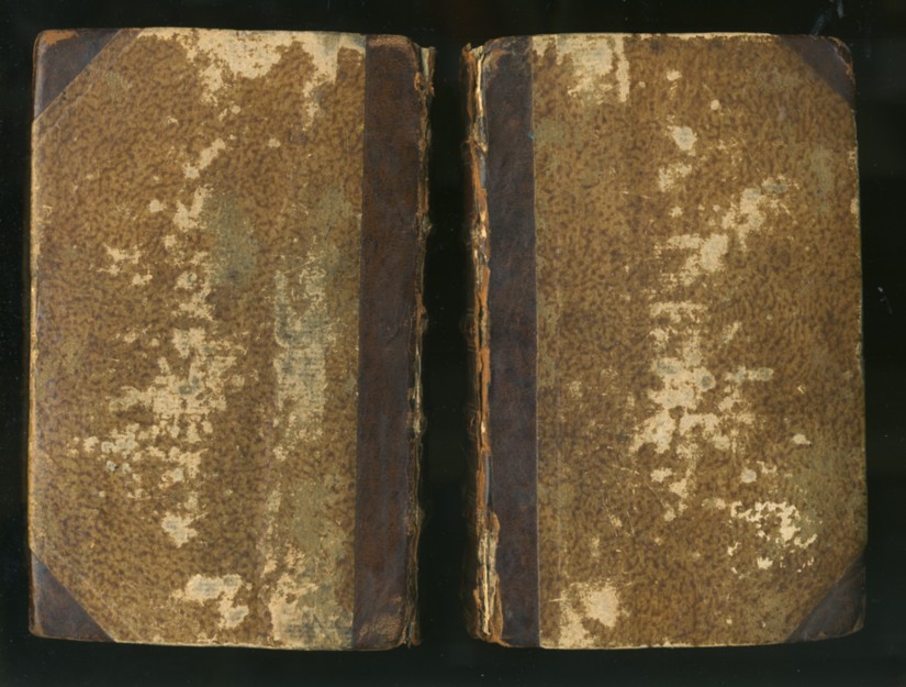 Image for Alt- und Neues Oesterreich, Oder Compendieuse Universal-Historie von dem alten und neuen, geist- und weltlichen Zustand dieses Lands; Nebst Topographischer Nachricht, … (2 volumes)