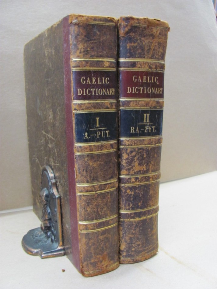 Image for Dictionarium Scoto-Celticum:A Dictionary of the Gaelic Language ; Comprising An Ample Vocabulary of Gaelic Words, as perserved in Vernacular Speech, Manuscripts, or Printed Works. With Their Signification and Various Examples and Phrases. (in 2 vols)