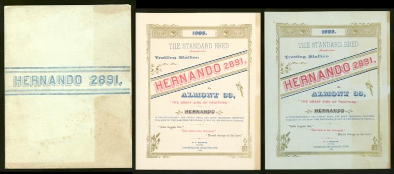 Image for 1885 The Standard Bred (regsitered) Trotting Stallion Hernando 2891, By Almont 33, The Great Sire of Trotters. Hernando is Unquestionably the Finest Breed, and Most Promising Trotting Stallion in the Maritime Provinces, If Not in the Whole of Canada